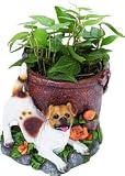 Jack Russell Flower Pot Dog Planter