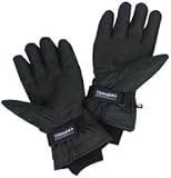Heated Thinsulate Gloves LADIES