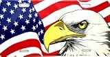 American Flag / Eagle LP - X0179