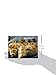 The Best 50 Scones