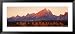 Aspens, Teton Range, Grand Teton National Park, Wyoming, USA Framed Art Poster Print by Panoramic Images, 51x23