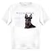Scottish Terrier Human Trainer Adult T Shirt