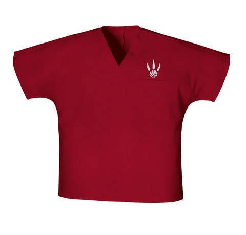Cheap Toronto Raptors Shirt