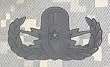 Senior EOD - Metal Insignia - Black - Full Size
