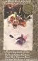 Southeast Whitewater [VHS]