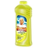 P and G 31501 Summer Citrus Mr Clean