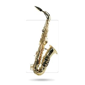 Windsor Alto Saxophone outfit with case