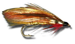 Fiery Brown Fly Fishing Fly