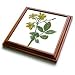 Flowers Carolina Jasmine - 8x8 Trivet With 6x6 Ceramic Tile