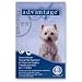 Pet Supplies : Advantage Flea Control for Dogs 11-20 lbs. (Twelve Dose (12-applications))