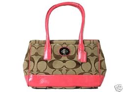Coach Hamptons Stripe Signature Carryall Bag Purse Tote 11620 Khaki Mahogany
