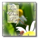 Love Dream Hope Ladybug on a Daisy Inspirational Quotes - 10x10 Wall Clock