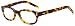 Scojo Cooper Street Full Frame Sunglasses