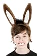 Shrek Donkey Costume Ears and Donkey Teeth