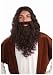 Biblical Wig & Beard Brown