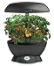 AeroGarden Space-Saver 6 with Gourmet Herb Seed Kit