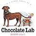 Chocolate Lab Proud Owner Womens Scoop Neck T-Shirt