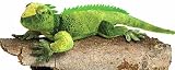 Plush Iguana 23"