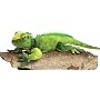 Plush Iguana 23"