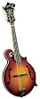 Kentucky KM-650 Artist F Model Mandolin, Sunburst Nitrocellulose Lacquer