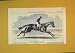1852 Race Horse Songstress Oaks Epsom Frank Butler