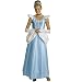 Cinderella Costume Adult