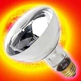 Trex Active Uv Heat Bulb 100w Flood