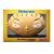 Family Guy - The Total World Domination Collection (Stewie Head Packaging) - (Amazon.com Exclusive)
