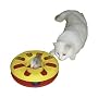 RACING WHEEL Katzenspiel- zeug � 24 cm, farbl. sor&hellip von Kerbl