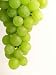 Grapes - 36