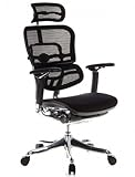 HJH Office/Buerostuhl24 652650 Bürostuhl / Chefsessel ERGOHUMAN PLUS Sitz Stoff / Rücken Netz schwarz
