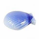 浮き玉、フローター（水に浮く陶器） シェル 059