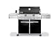 Weber 1781001 Summit E-650 Grill, Propane, Black