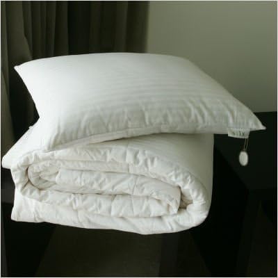 Silx Silk Filled Double Fill Pillow, Boudoir