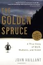 The Golden Spruce