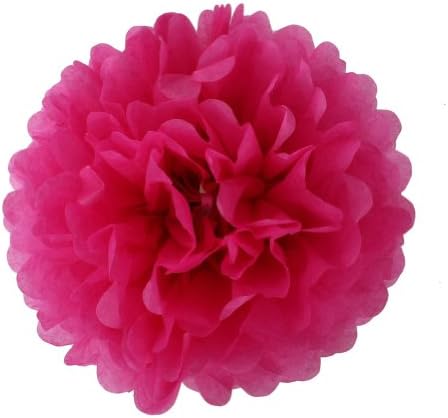 Fancasen 10pcs Wedding Tissue Paper Pom Poms Party Xmas Home Outdoor Flower Balls Decor (Rose Red, 8 inch)