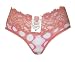  : Mopas Premium 2 Pack Lot of Sexy Sheer Dotted Lace Trim Bikini Hipster Panties(lp7222k)