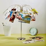 Umbra Fotofalls Metal Desktop Photo Holder