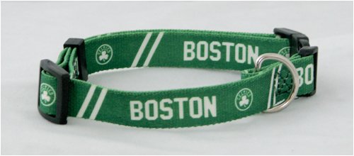 boston celtics small dog pet collar 5/8" 10-22lbs
