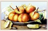 Dish of Peaches with a Cucumber by Giovanni Garzoni. LAMINATED. 17.46 inches width by 10.92 inches height. Highest Quality Art Poster Print 41%2B01Wp6aVL. SL160 Dish of Peaches with a Cucumber by Giovanni Garzoni. LAMINATED. 17.46 inches width by 10.92 inches height. Highest Quality Art Poster Print