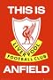 Liverpool Poster Print, 24x36 Poster Print, 24x36