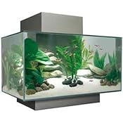Amazon.com: Fluval Edge Aquarium Set, Pewter, 6-Gallon: Pet Supplies