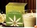 Aromatic Christmas Holiday Home Decor Soy Wax Tahitian Gardenia Scented Candle - By Pacifica