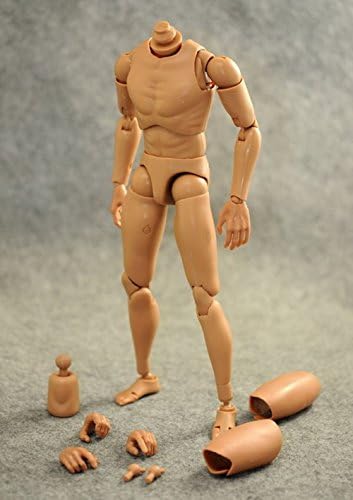 [Desirable] 1/6 figure male body