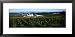 Amish Farm, Lancaster, Pennsylvania, USA Places Framed Art Poster Print by Panoramic Images, 31x15
