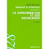 La consommation et ses sociologies: Domaines et approches