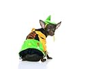 Sexy Alice In Wonderland Scarecrow Pet Dog/Cat Halloween Costume