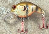 JLVLures Shallow Crankbait Sunfish : Diver Lures JLV Freshwater Smallmouth Steelhead Pike Salmon Trout Perch Whiper Mid Depth Walleye Casting Bass Hook Treble Red Boat Dock Brook Bay Little Stump River Trolling Weed Surface Topwater Shad