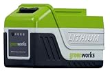 Greenworks 29212 20-Volt 6.0 Ah Lithium Ion Extended Run Time Battery