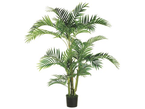 Pack of 2 Tropical Artificial Kentia Palm Trees 5′